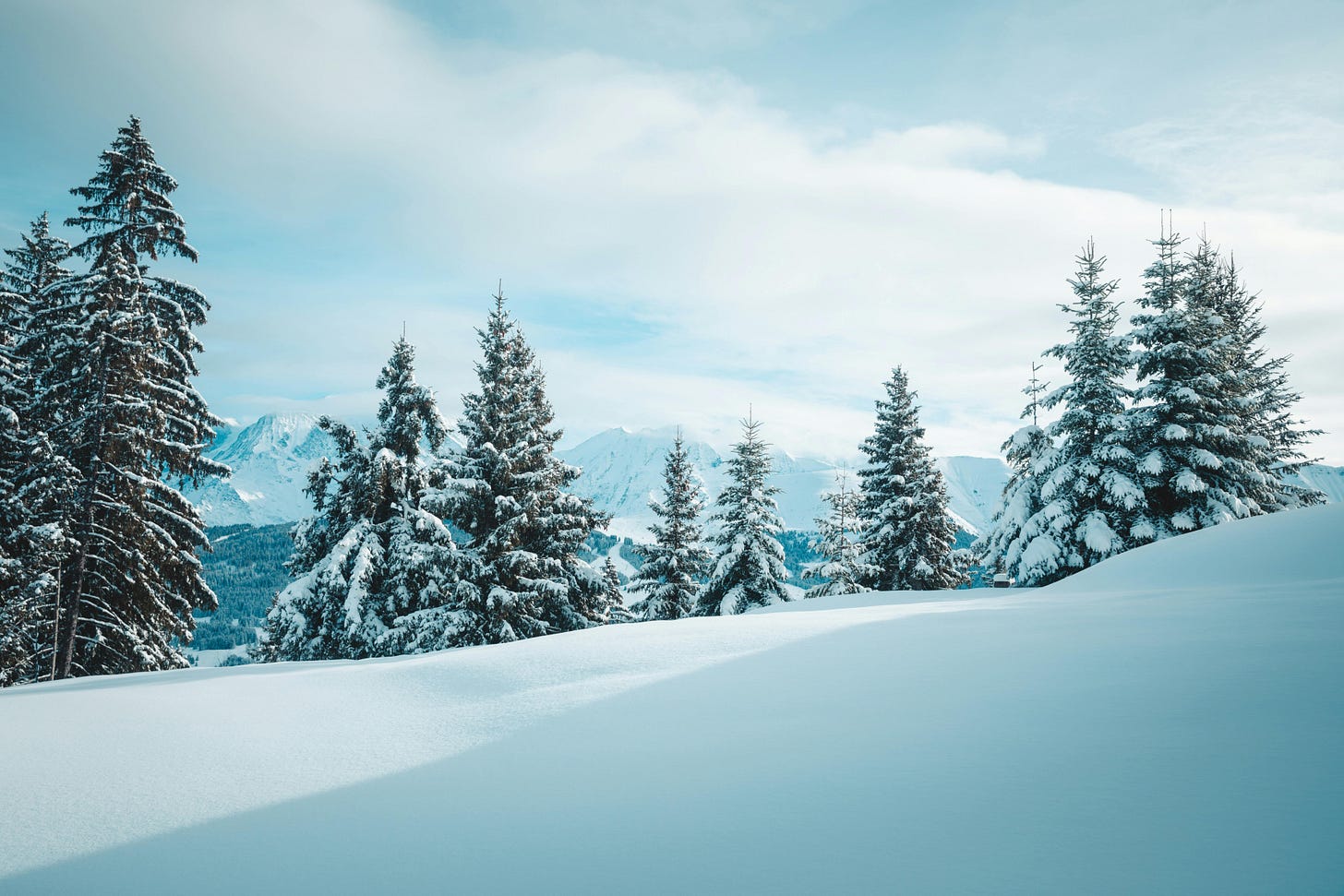 Winter Snow Scene