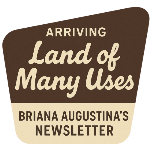 Substack profile picture for @brianaaugustina