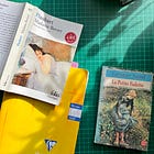 memory is a dreamer: after Emma Bovary