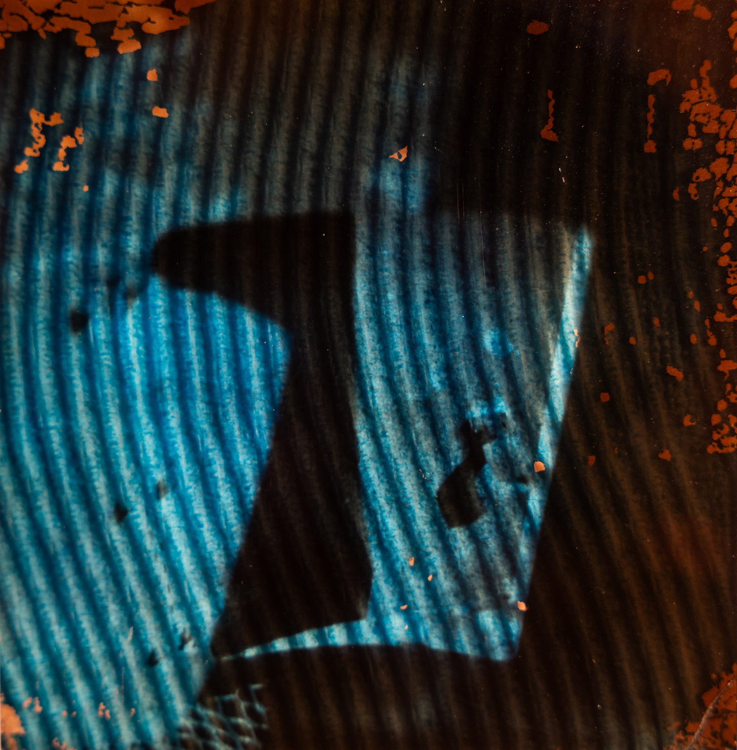 Polaroid Transparency