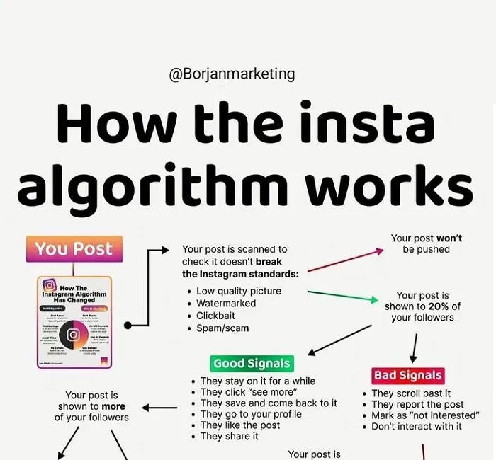 Instagram Algorithm Guide: Maximizing Exposure