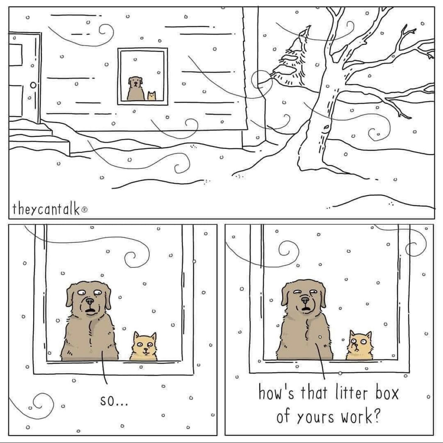 Media attachment Media attachment