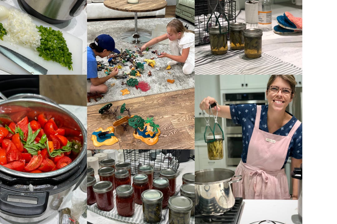 pickling in the Hub.png pickling in the Hub.png