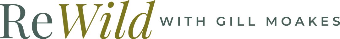 ReWild With Gill Moakes