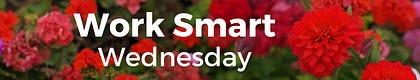 Work Smart Wednesday