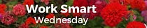 Work Smart Wednesday