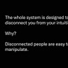 The Truth Addict Newsletter