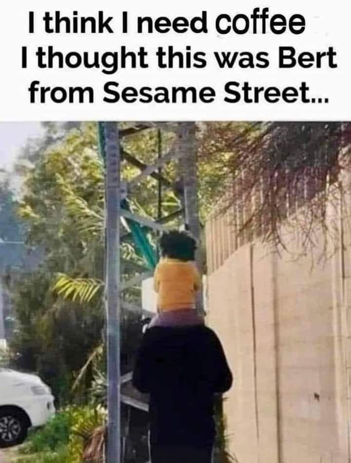 May be an image of 1 person and text that says 'I think I need coffee I thought this was Bert from Sesame Street...'