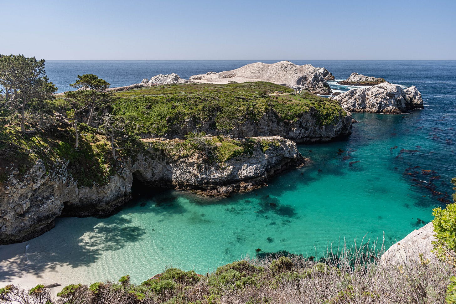 20210401 Point Lobos X-133.jpg