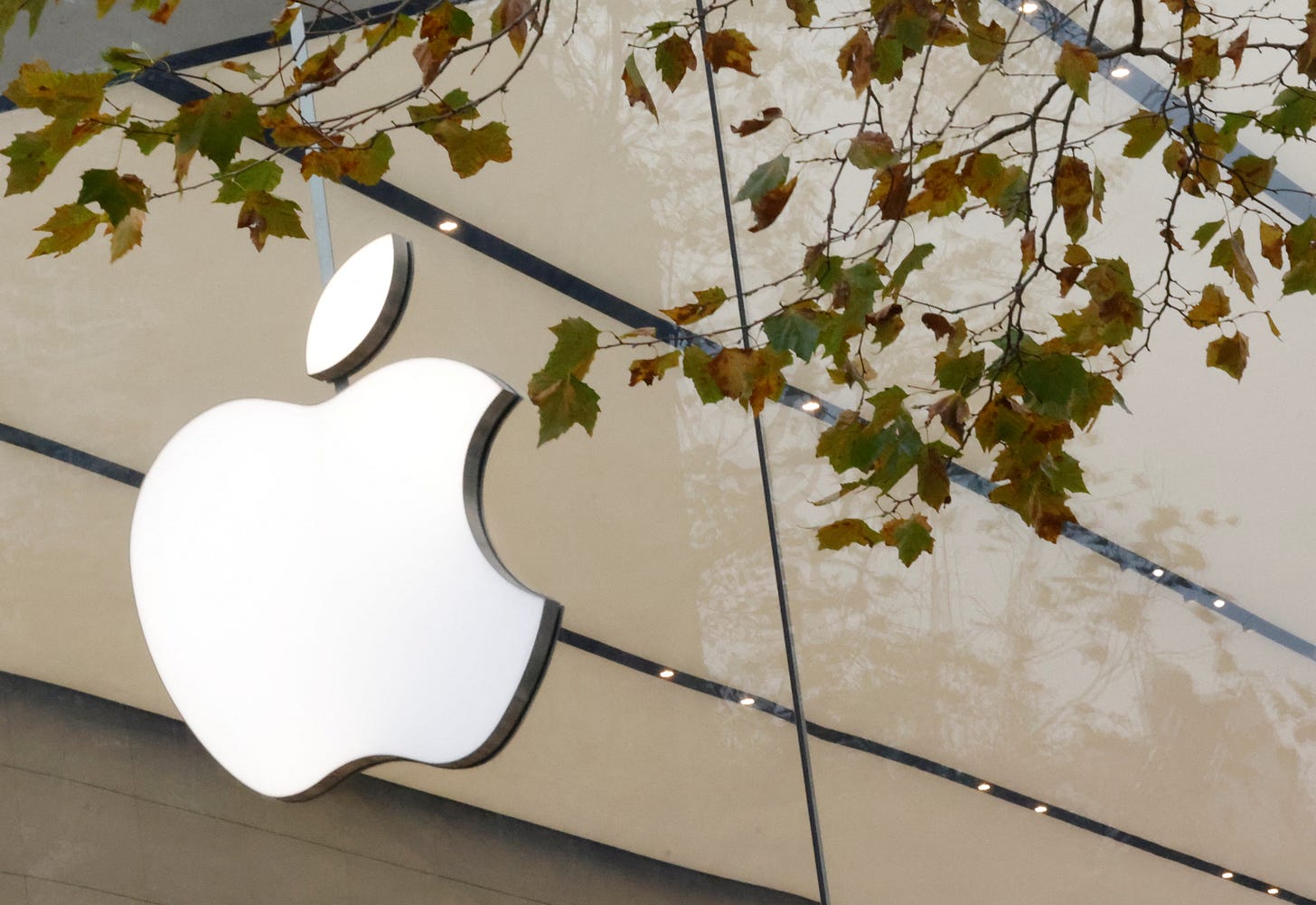 The Apple Inc logo is seen at the entrance to the Apple store, in Brussels The Apple Inc logo is seen at the entrance to the Apple store, in Brussels