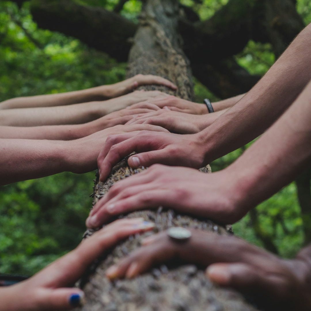 a group of people holding hands on top of a tree a group of people holding hands on top of a tree