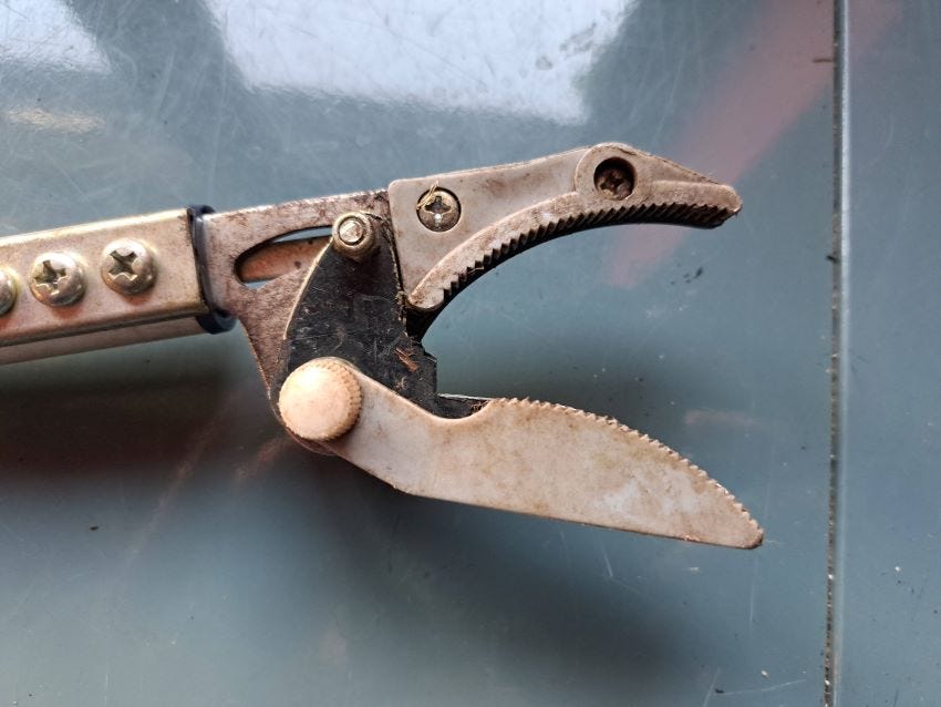 Pruner without blade copyright Anne Wareham 