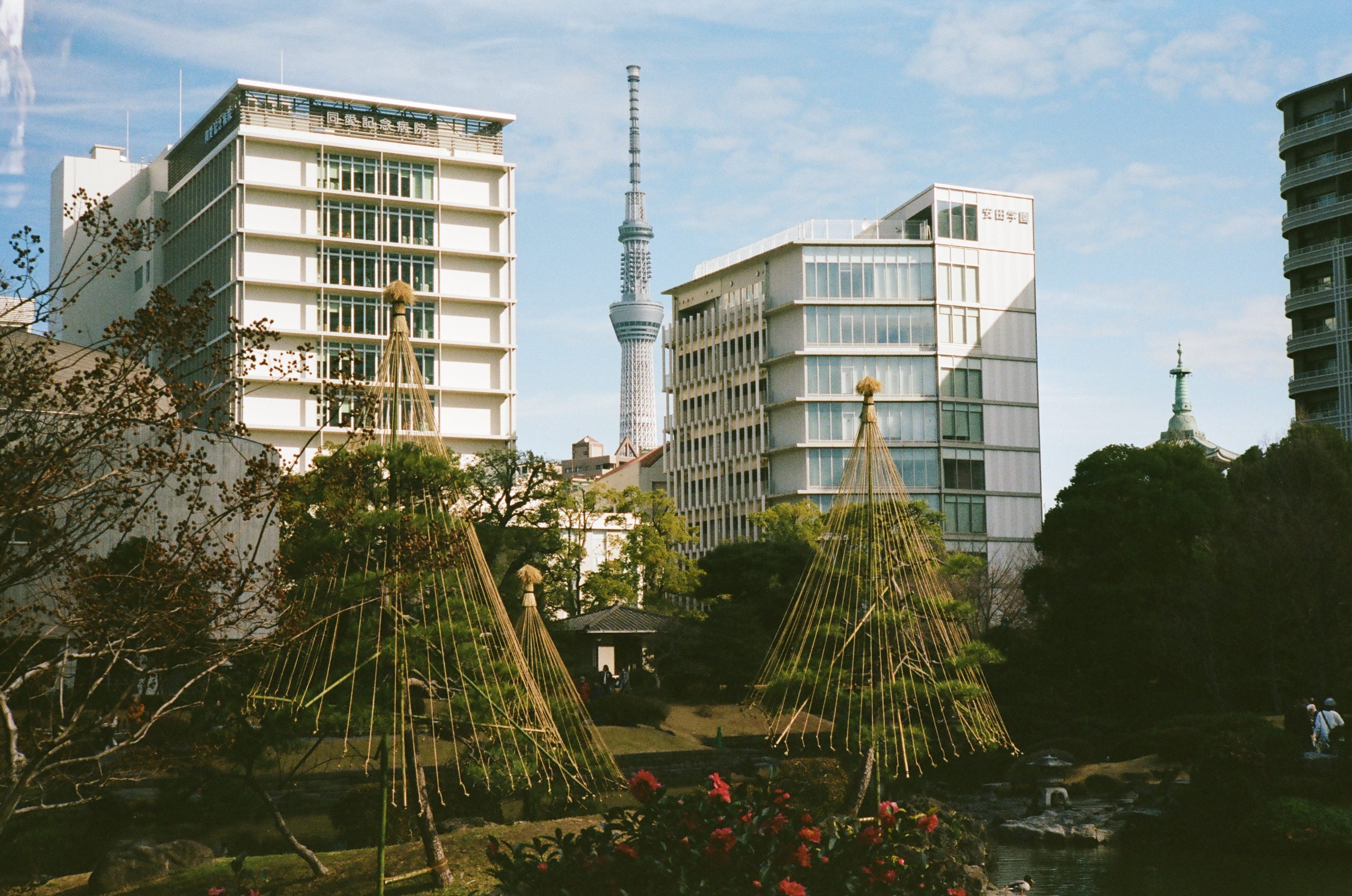 The World’s Biggest City Is Also… Weirdly Quiet