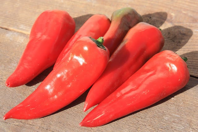 Chervena Chushka sweet peppers