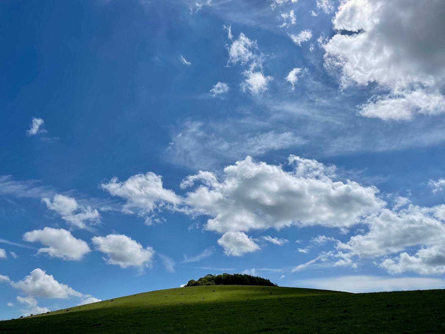 Round Hill at Wittenham Clumps