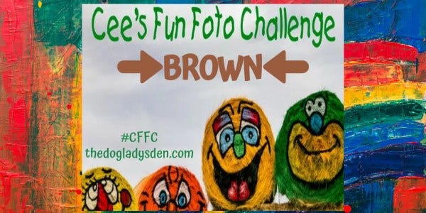 #CFFC PHOTOGRAPHY, BROWN