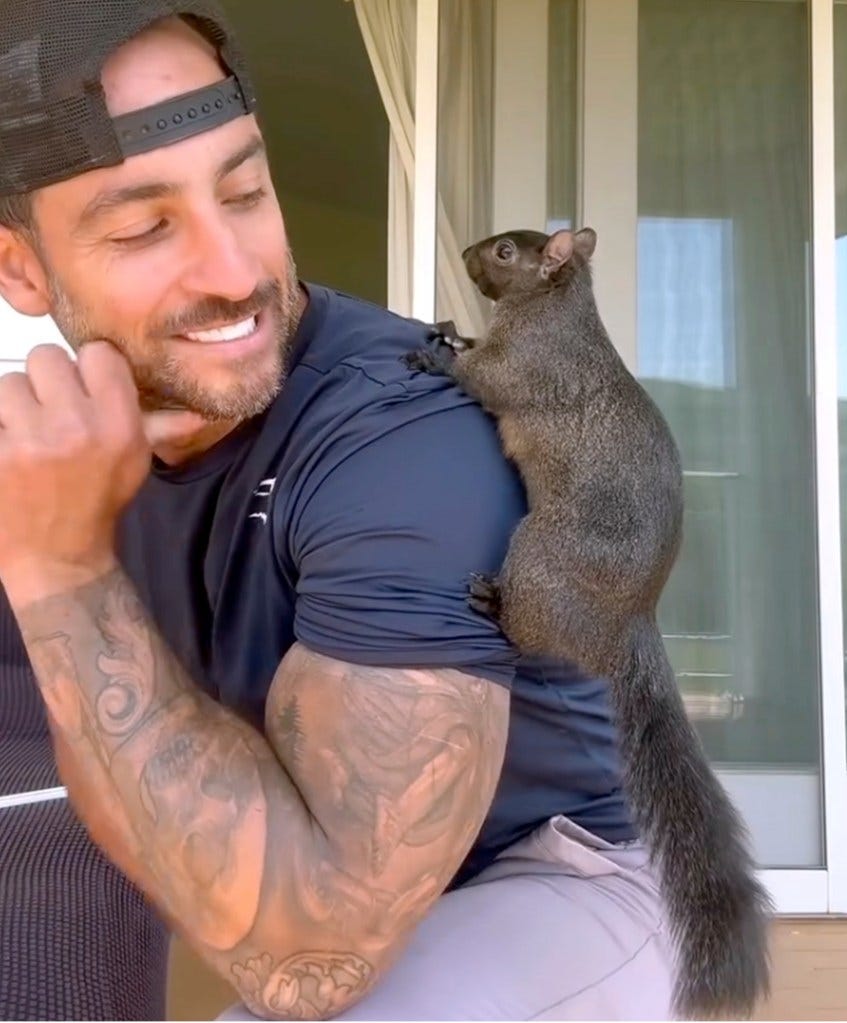 Peanut the Squirrel 
