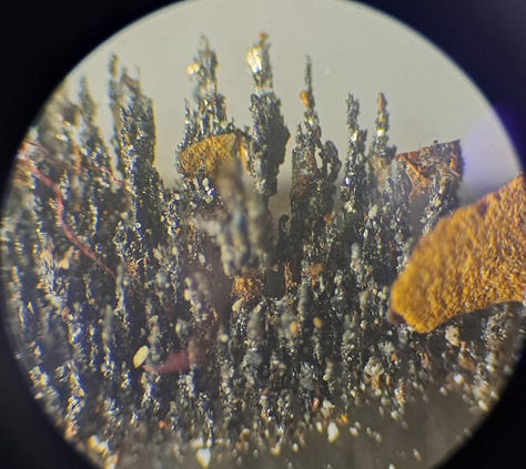 Magnetic dust