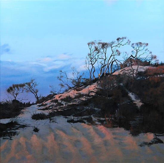 Napeague Twilight by Toby Haynes