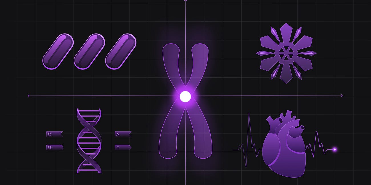 Deep Dive: Curing Age At the Cellular Level
