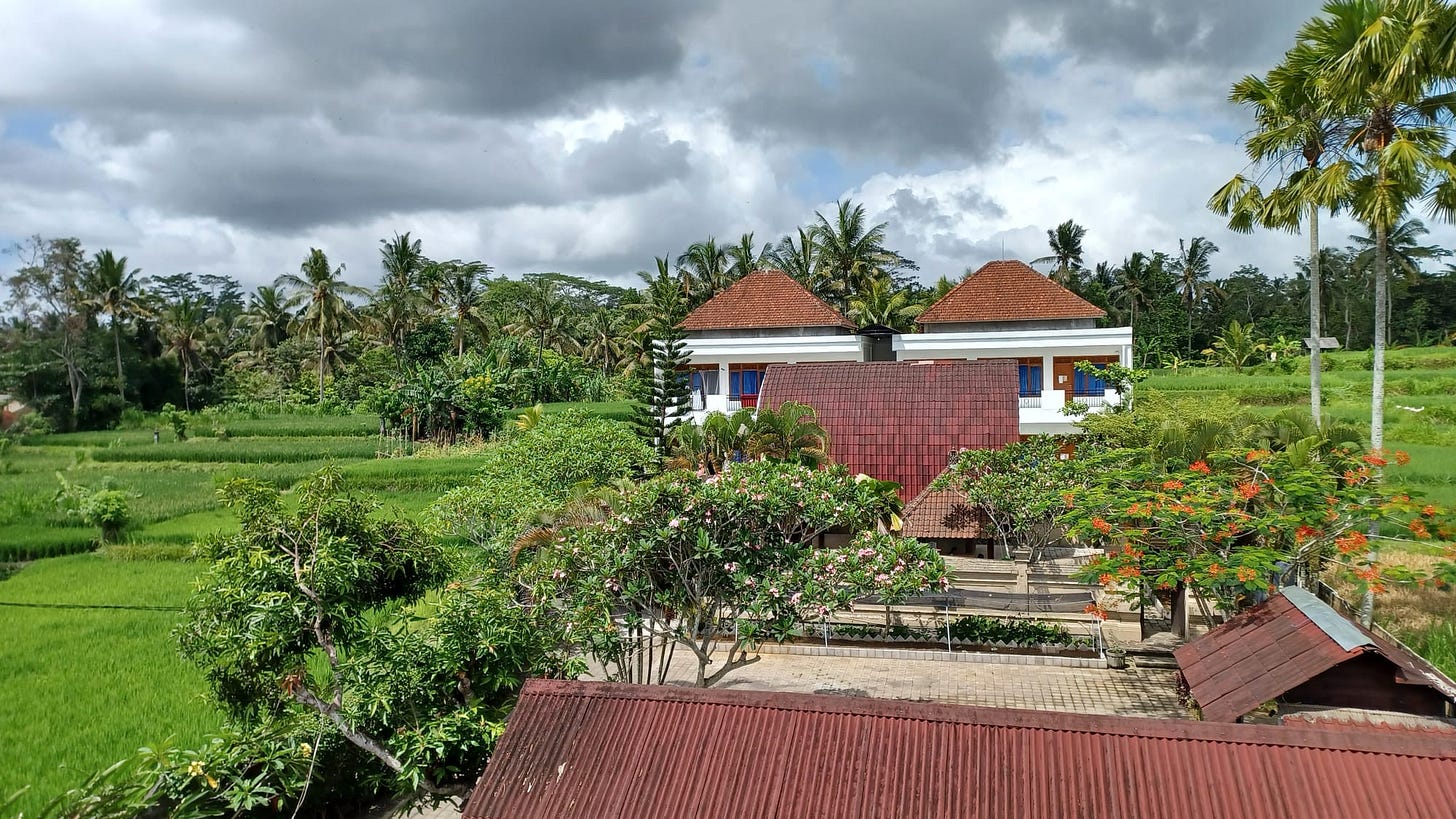 Volunteering in Bali