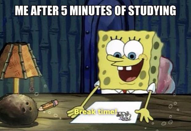 11 Memes That'll Make You Feel Better About Not Studying for Your Finals -  Scoop Empire