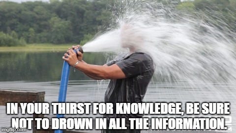 language learning meme : Second Language Strategies