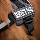 30 Days of ADM: Day 1 September 30, 2022