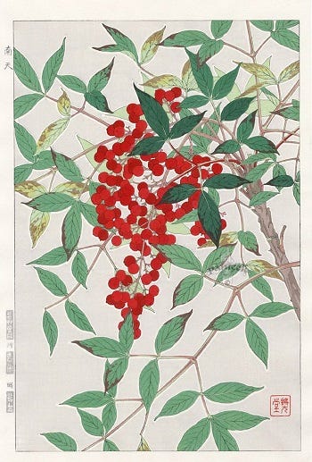 Show 250: Heavenly Bamboo, Prickly Pear Cactus and Ninebark