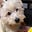 Loulou Seeff's avatar