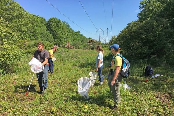 Image of researchers with nets under power lines. Image of researchers with nets under power lines.