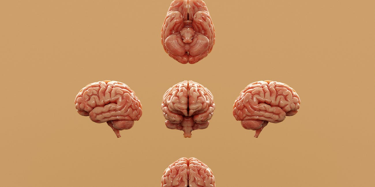 Nootropic Peptides and Behavioral Health: What Is Semax?