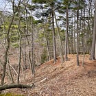 In Defense of Short Hikes