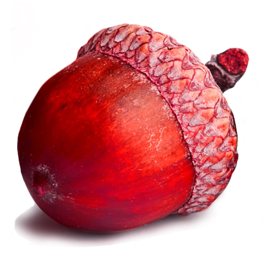 Institute of England