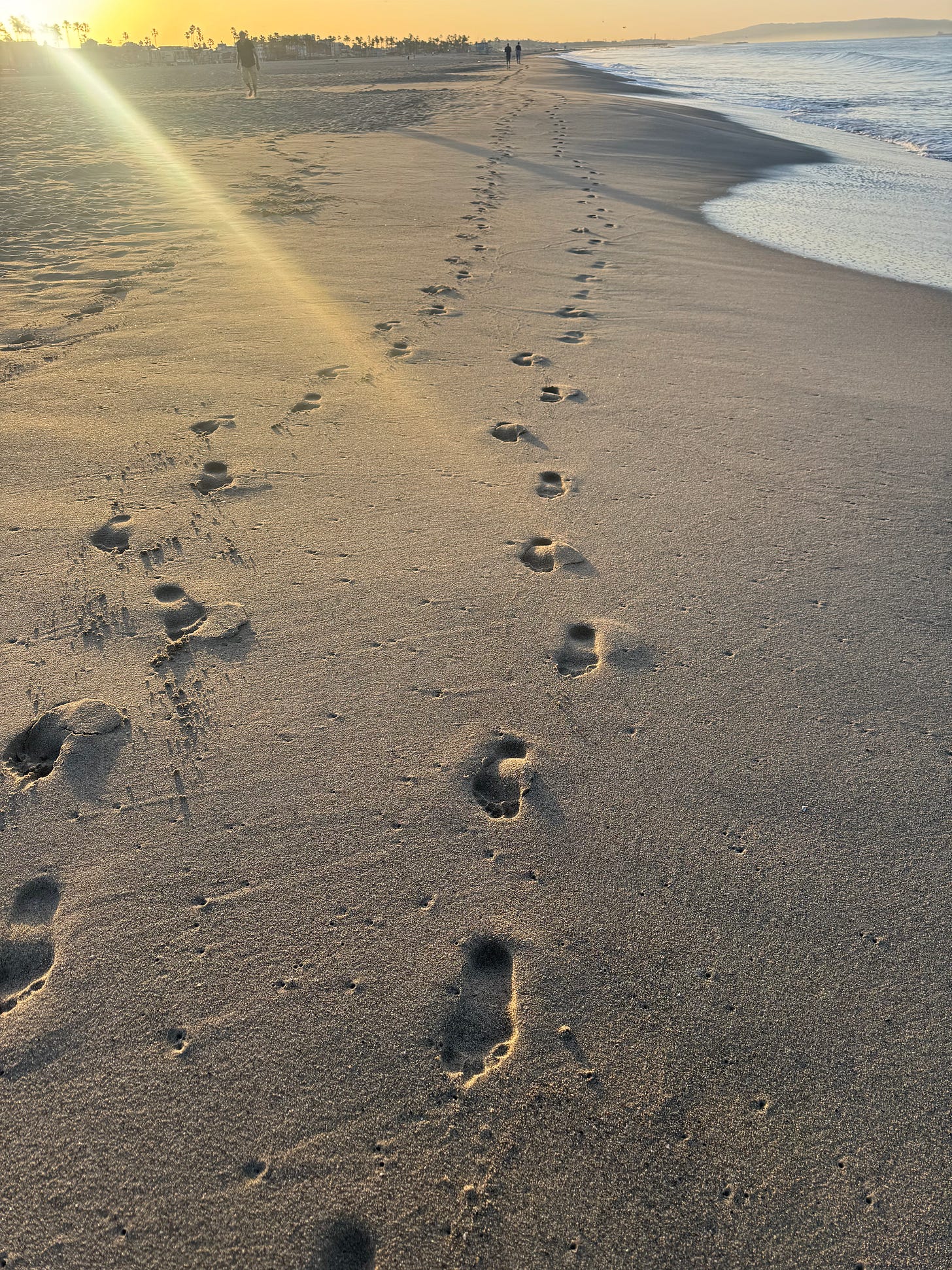 two sets of footprints in the sand on a beach along the shore. The sun is rising over some palm trees in the far background. 