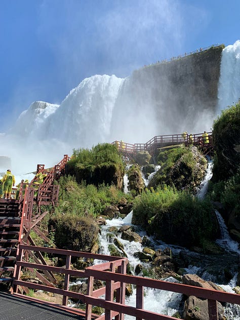 Trip photos from the past few years
