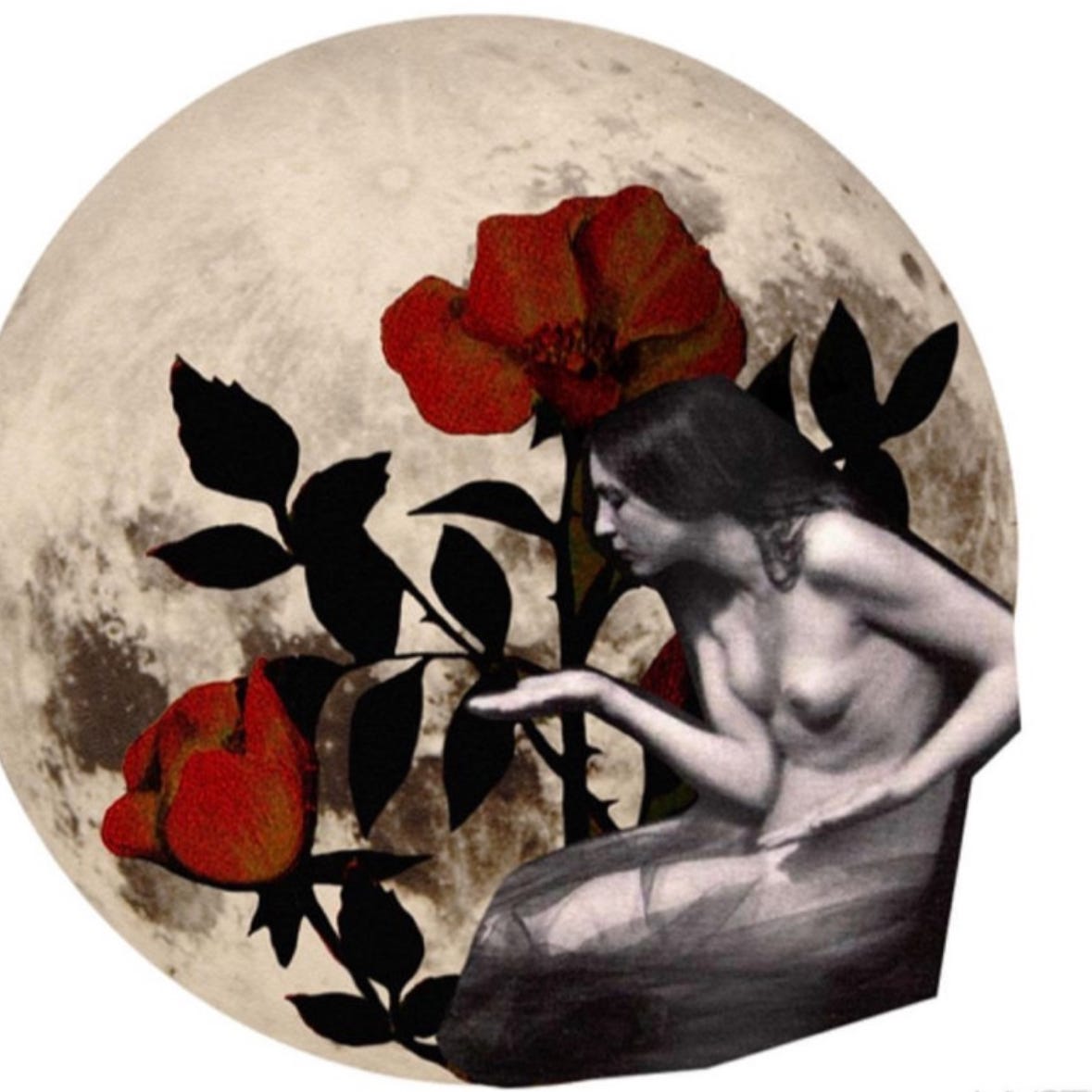 The House of Magdalena