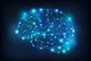 Groovy looking brain