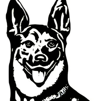 Artwork for @skunkesthetix