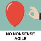 No-nonsense Agile Leadership