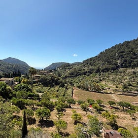 Where is the outrage when Trump goes full Erdogan?