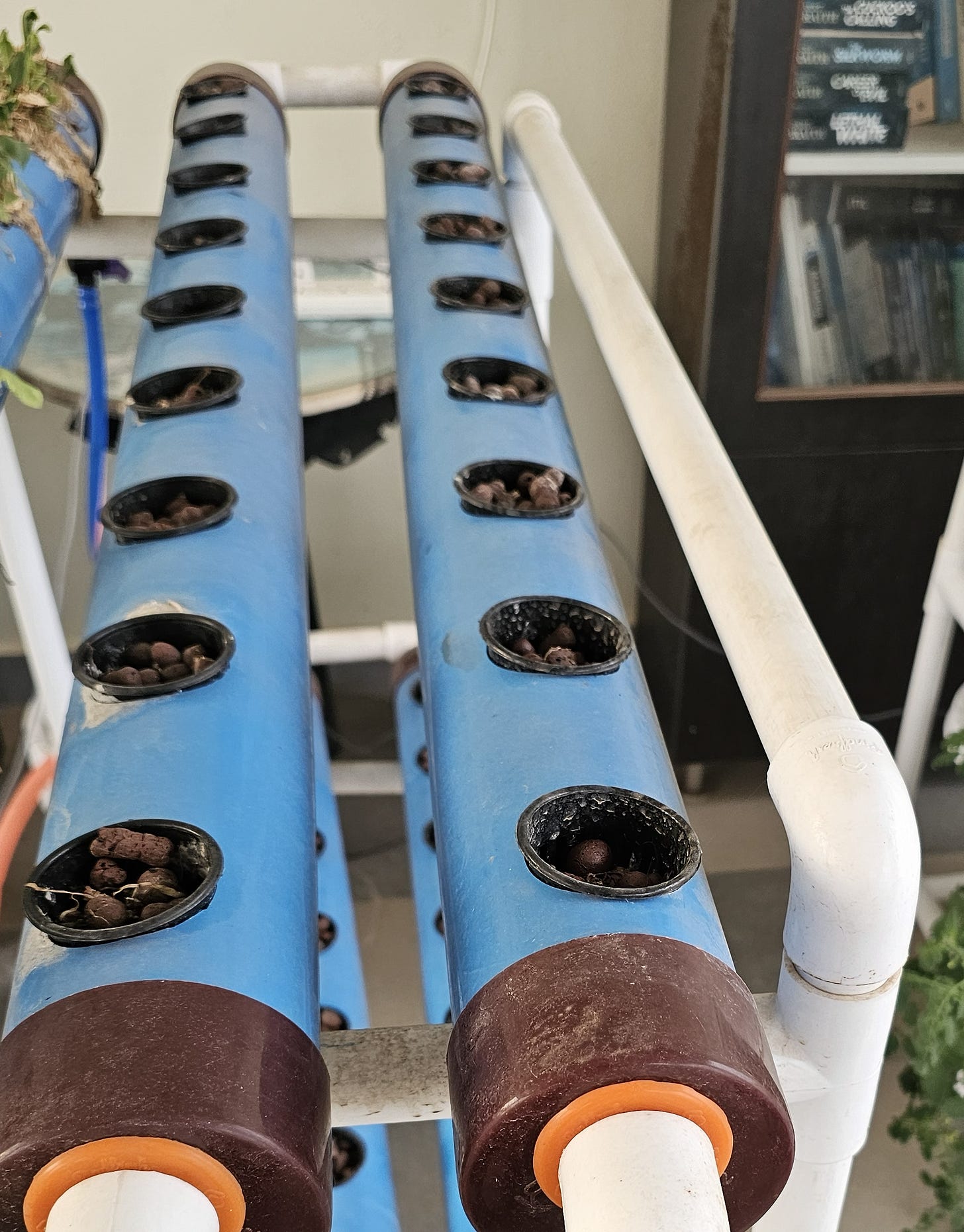 Two light blue NFT tubes filled with dark growing medium and net pots, part of the Ayozari hydroponic system on the terrace, photographed after summer cleaning and fresh seed sowing.