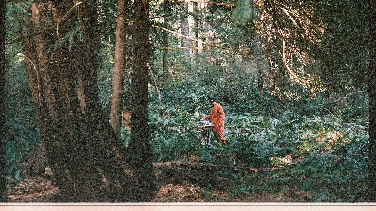 A Field Guide to Making Plant and Mushroom Music