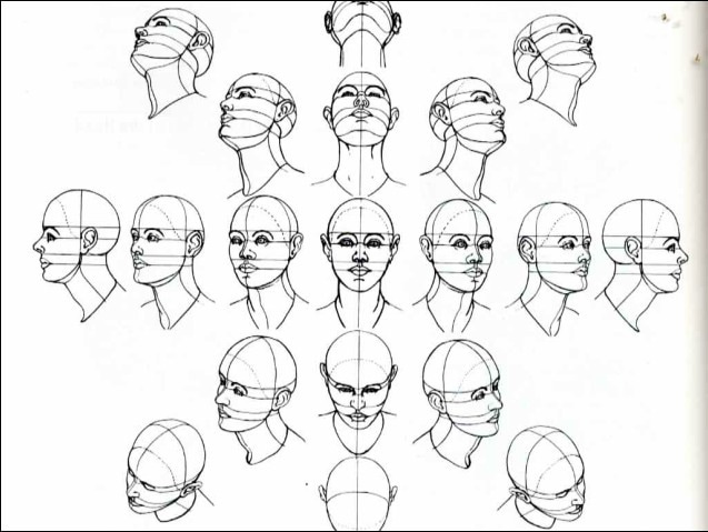 Portrait Angles (SOLs:AII.1 AII.4 AII.14 AII.18 AII.25)