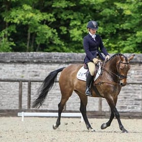 Super Summer Festival for Dressage Ireland Northern Region