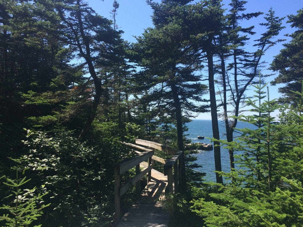 impromptu road trip impromptu road trip