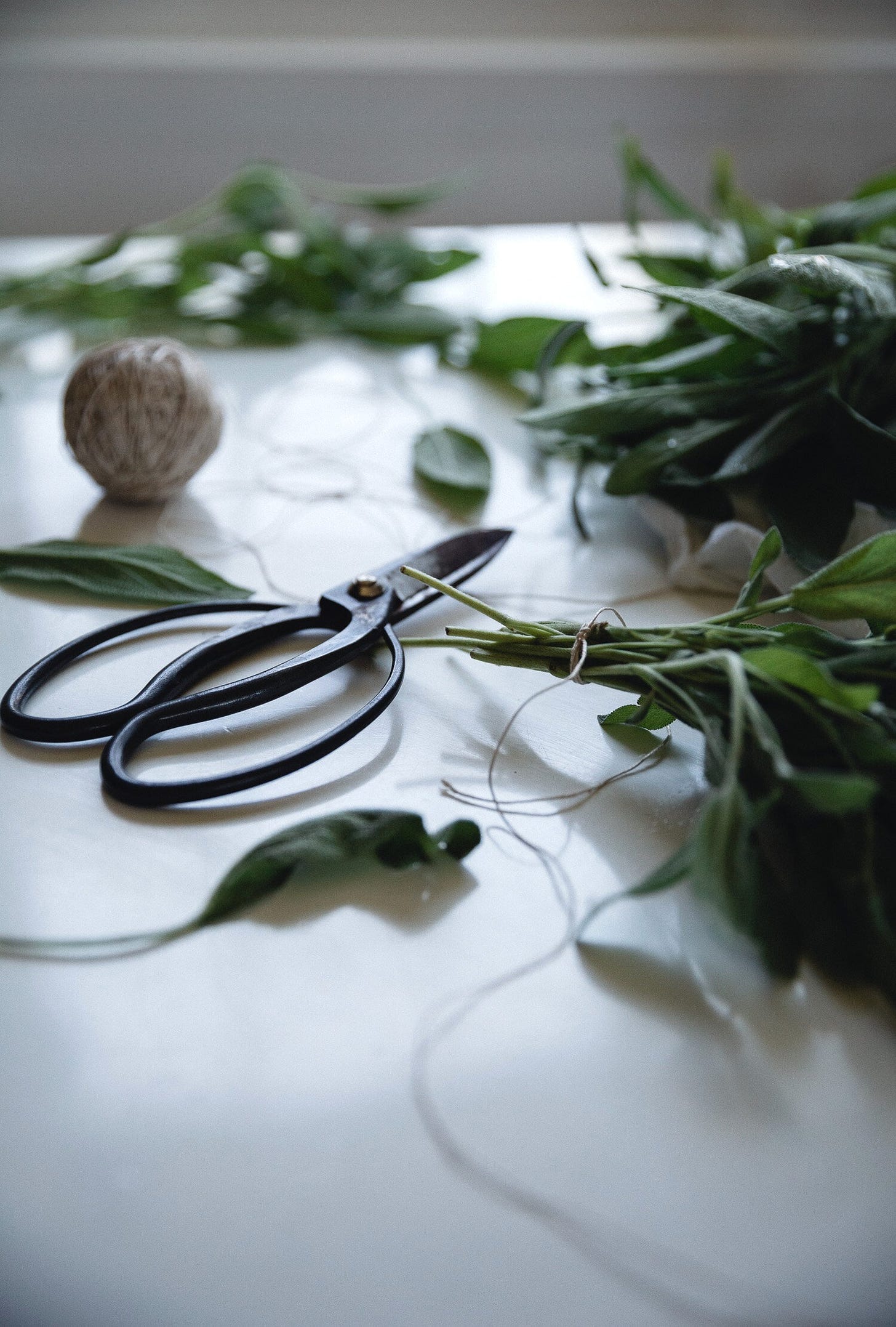 Simple Living | A Harvest Simple Living | A Harvest