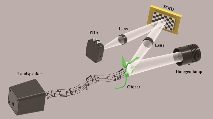 An illustration of a device detecting sound by bouncing light off of a leaf An illustration of a device detecting sound by bouncing light off of a leaf