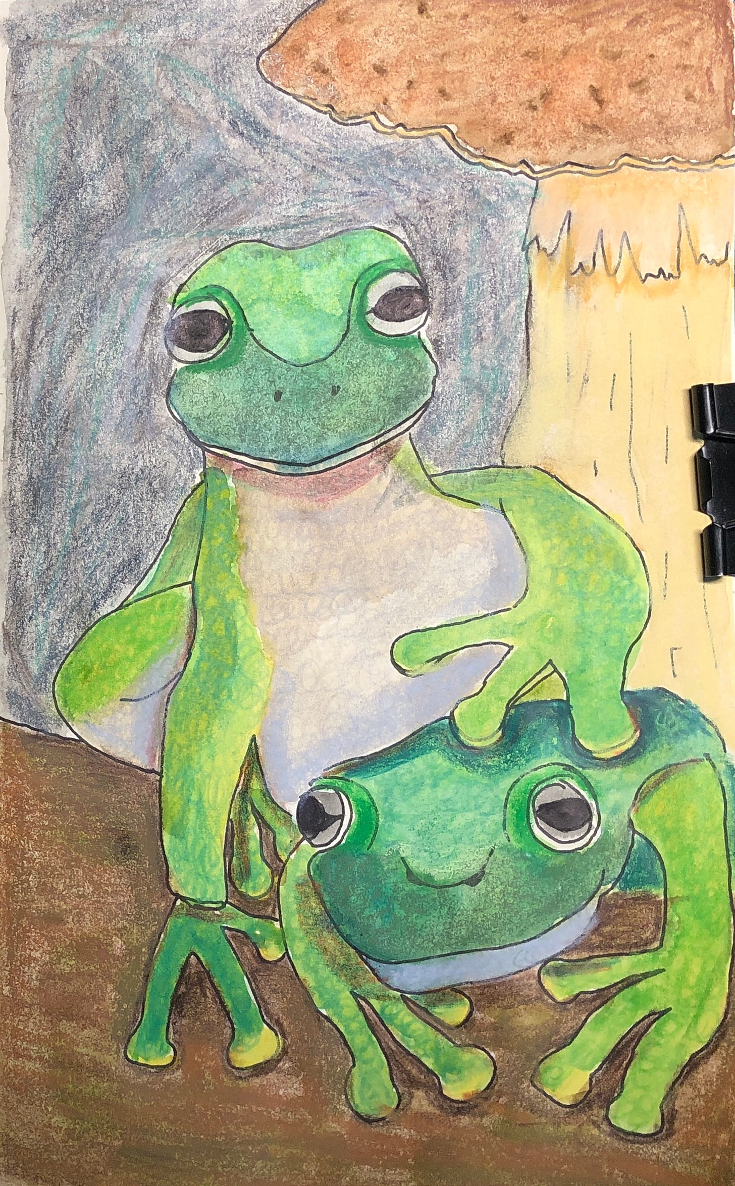Page de mon sketchbook où j'ai peint 2 grenouilles sur un tronc d'arbre devant un champignon.