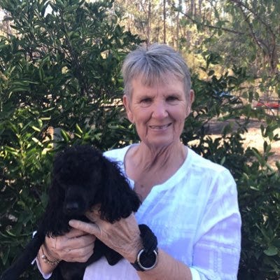 Haverfordwest History  One Place Study